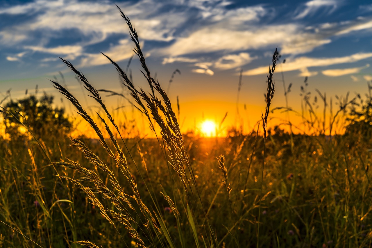 10 Easy Crafts for Celebrating Summer Solstice